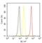 Acetylcholinesterase antibody, MA3-041, Invitrogen Antibodies, Flow Cytometry image 