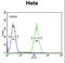 Branched Chain Keto Acid Dehydrogenase E1 Subunit Beta antibody, LS-C156767, Lifespan Biosciences, Flow Cytometry image 