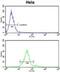 Polypeptide N-Acetylgalactosaminyltransferase 2 antibody, abx034331, Abbexa, Flow Cytometry image 