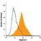 Glypican 3 antibody, FAB2119G, R&D Systems, Flow Cytometry image 