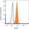 EPH Receptor A2 antibody, MAB639, R&D Systems, Western Blot image 