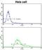 Translocase Of Outer Mitochondrial Membrane 70 antibody, abx032969, Abbexa, Flow Cytometry image 