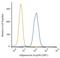 Adiponectin, C1Q And Collagen Domain Containing antibody, NB100-65810, Novus Biologicals, Flow Cytometry image 