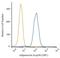 Adiponectin, C1Q And Collagen Domain Containing antibody, NB100-65810, Novus Biologicals, Flow Cytometry image 