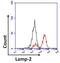 Lysosomal Associated Membrane Protein 2 antibody, MA1-205, Invitrogen Antibodies, Flow Cytometry image 