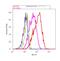 Phosphodiesterase 6B antibody, PA1-722, Invitrogen Antibodies, Flow Cytometry image 