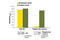 AXL Receptor Tyrosine Kinase antibody, 7040S, Cell Signaling Technology, Enzyme Linked Immunosorbent Assay image 