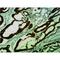 Cytochrome C Oxidase Subunit 4I1 antibody, LS-C387752, Lifespan Biosciences, Immunohistochemistry frozen image 