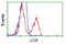 Lysyl Oxidase antibody, LS-C114937, Lifespan Biosciences, Flow Cytometry image 