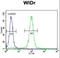 Meis Homeobox 2 antibody, LS-C164132, Lifespan Biosciences, Flow Cytometry image 