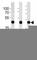 Actin Alpha 1, Skeletal Muscle antibody, F44155-0.4ML, NSJ Bioreagents, Immunohistochemistry paraffin image 