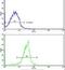 Exportin 1 antibody, PA5-13642, Invitrogen Antibodies, Flow Cytometry image 