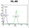 G Protein-Coupled Receptor 142 antibody, LS-C166624, Lifespan Biosciences, Flow Cytometry image 