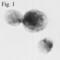 Nuclear Receptor Subfamily 3 Group C Member 1 antibody, PA1-510A, Invitrogen Antibodies, Immunocytochemistry image 
