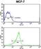 RAS Like Family 11 Member B antibody, GTX81024, GeneTex, Flow Cytometry image 