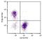 TCRB antibody, NBP2-69071, Novus Biologicals, Flow Cytometry image 