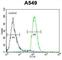 Leukocyte Immunoglobulin Like Receptor A2 antibody, abx025728, Abbexa, Western Blot image 