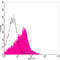 Lamin A/C antibody, LS-C203167, Lifespan Biosciences, Flow Cytometry image 