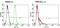 T Cell Receptor Beta Variable 7-9 antibody, TCR1645, Invitrogen Antibodies, Flow Cytometry image 