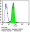 ATP Binding Cassette Subfamily B Member 1 antibody, MA5-13854, Invitrogen Antibodies, Flow Cytometry image 