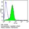 TCR V gamma 9 antibody, TCR1720, Invitrogen Antibodies, Flow Cytometry image 