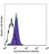 CD83 Molecule antibody, 305306, BioLegend, Flow Cytometry image 