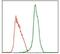 MPL Proto-Oncogene, Thrombopoietin Receptor antibody, MA5-17127, Invitrogen Antibodies, Flow Cytometry image 