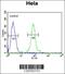 F-box/WD repeat-containing protein 8 antibody, 55-367, ProSci, Immunofluorescence image 