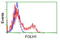 Folate Hydrolase 1 antibody, LS-B12238, Lifespan Biosciences, Flow Cytometry image 