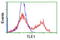 TLE Family Member 1, Transcriptional Corepressor antibody, LS-C175232, Lifespan Biosciences, Flow Cytometry image 