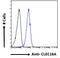 Early Growth Response 4 antibody, 45-522, ProSci, Western Blot image 