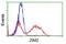 Zinc Finger Imprinted 2 antibody, GTX83403, GeneTex, Flow Cytometry image 