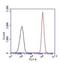 Paired Box 5 antibody, NBP2-29905, Novus Biologicals, Flow Cytometry image 