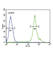 Adiponectin Receptor 2 antibody, abx032413, Abbexa, Western Blot image 