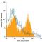 Lymphocyte Antigen 75 antibody, MA5-23654, Invitrogen Antibodies, Flow Cytometry image 