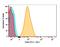 Solute Carrier Family 2 Member 1 antibody, NB110-39113PE, Novus Biologicals, Flow Cytometry image 