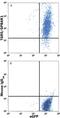 G Protein-Coupled Bile Acid Receptor 1 antibody, FAB4286P, R&D Systems, Flow Cytometry image 