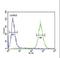 Glial Cell Derived Neurotrophic Factor antibody, LS-C166432, Lifespan Biosciences, Flow Cytometry image 