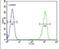 Ectonucleoside Triphosphate Diphosphohydrolase 3 antibody, PA5-24209, Invitrogen Antibodies, Flow Cytometry image 