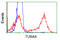 Tubulin Alpha 8 antibody, TA501038, Origene, Flow Cytometry image 