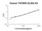 Transforming Growth Factor Beta Receptor 3 antibody, EK1383, Boster Biological Technology, Enzyme Linked Immunosorbent Assay image 