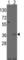 Msh Homeobox 2 antibody, abx031638, Abbexa, Western Blot image 