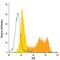 TYRO3 Protein Tyrosine Kinase antibody, FAB759A, R&D Systems, Flow Cytometry image 