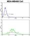 Transgelin antibody, abx032928, Abbexa, Flow Cytometry image 