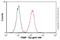 Poly(A) Binding Protein Cytoplasmic 1 antibody, ab6125, Abcam, Flow Cytometry image 