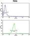 Mitochondrial Inner Membrane Protein MPV17 antibody, abx034090, Abbexa, Flow Cytometry image 