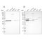 Mitochondrial Ribosomal Protein L38 antibody, NBP1-81672, Novus Biologicals, Western Blot image 