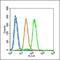 Annexin A10 antibody, orb4441, Biorbyt, Flow Cytometry image 