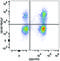 C-C Motif Chemokine Receptor 7 antibody, LS-C811819, Lifespan Biosciences, Flow Cytometry image 