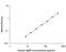 Agouti Related Neuropeptide antibody, DAGR00, R&D Systems, Enzyme Linked Immunosorbent Assay image 